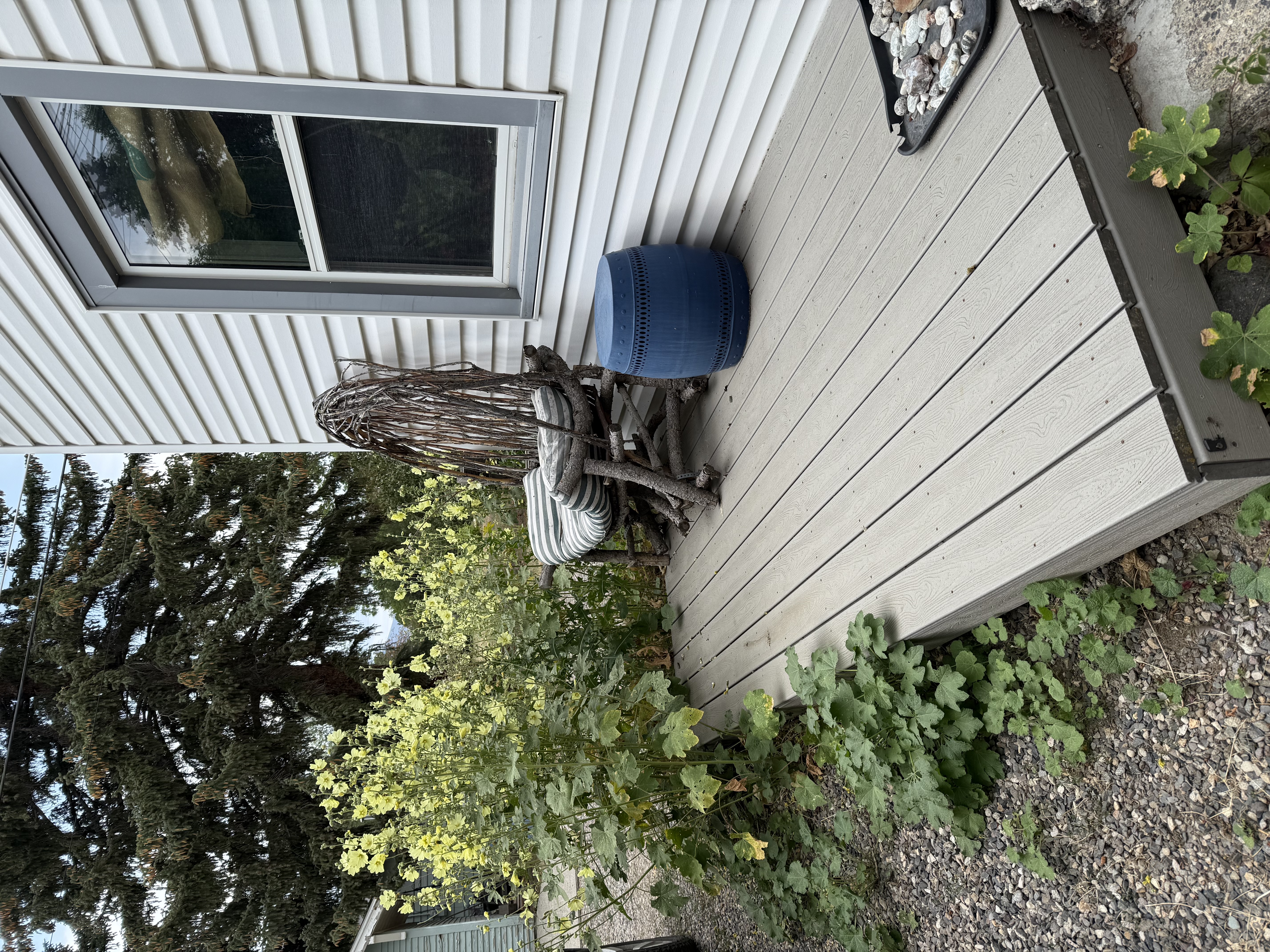 Squirrel Suite 